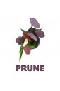 prune