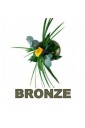 bronze