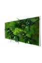 Tableau Nature Rectangle XL